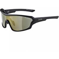 Alpina Men's Polarised Sunglasses