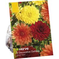 Verve Decor and Landscaping