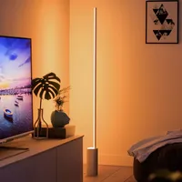 Philips Hue LED Lighting