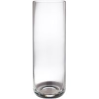 Habitat Clear Vases