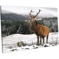 Alpen Home Canvas Wall Arts