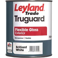 B&Q Leyland Trade Gloss Paints