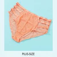 Playful Promises Lace Briefs for Women