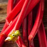 Gardeners Dream Rhubarb Plants