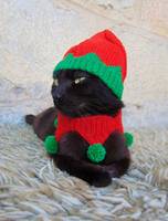 Etsy UK Cat Christmas Clothes