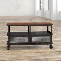 Williston Forge Industrial TV Units