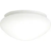 Westinghouse Glass Lamp Shades