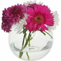 OnBuy Glass Jugs and Vases