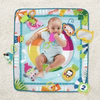 Fisher Price Baby Gym & Playmats