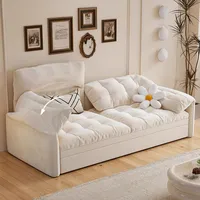 Living and Home Storage Sofa Beds