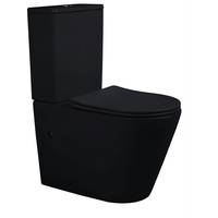 Wayfair Black Toilets