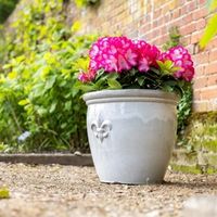 Primrose Large Garden Planters