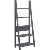 Furniture In Fashion Ladder Shelves