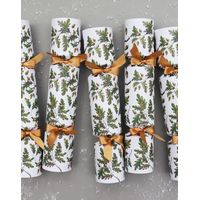 Shop Joules Christmas Crackers up to 25% Off | DealDoodle