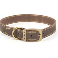 Ancol Dog Collars and Leads
