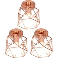 WOTTES Rose Gold Ceiling Lights