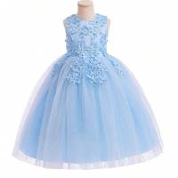 SHEIN Girl's Prom Dresses