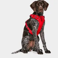 Ruffwear Sport Equipment