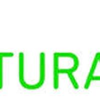 All El Naturalista Online Shopping