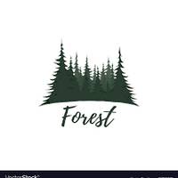 All Forest Online Shopping