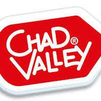 All Chad Valley Online Shopping