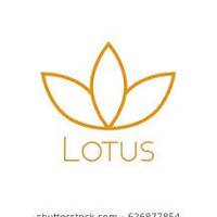All Lotus Online Shopping
