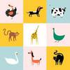 All Animal Online Shopping