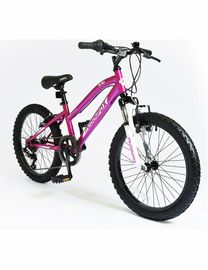 Argos muddyfox 20 inch best sale