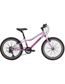 Pinnacle ash bike deals