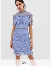 Shop Chi Chi London High Neck Dresses for Women up to 75 Off DealDoodle