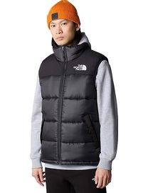 Jd sports north face gilet best sale